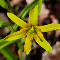 Lepota7 013