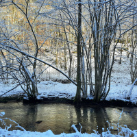 EmaKrška2,3 035